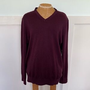 Banana Republic Men's LARGE Pullover Sweater V-Neck Luxury silk cashmere Purple